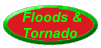 Flood & Tornado